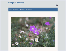 Tablet Screenshot of bridgetsamuels.com